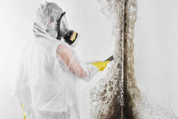 Best Mold Remediation for Schools in Kellyville, OK