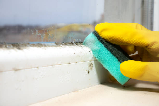 Best Crawl Space Mold Remediation in Kellyville, OK