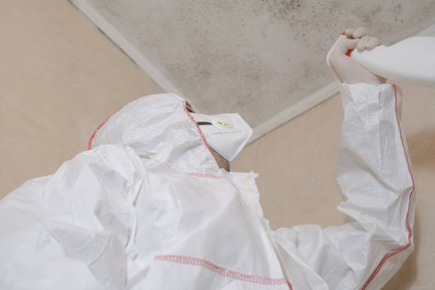 Best Black Mold Remediation in Kellyville, OK