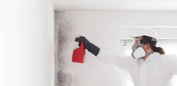Best Mold Remediation for Specific Building Types in Kellyville, OK