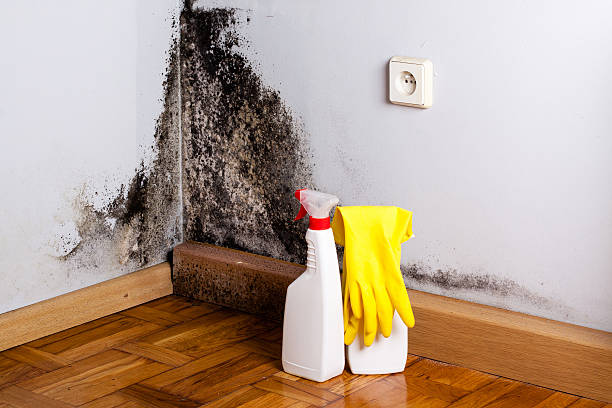 Best Health and Safety Mold Remediation in Kellyville, OK