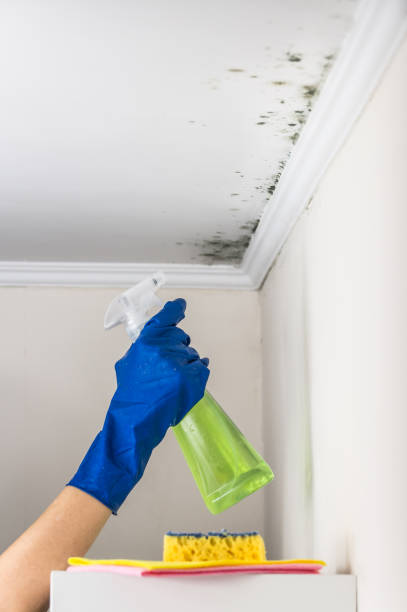 Best HVAC Mold Remediation in Kellyville, OK